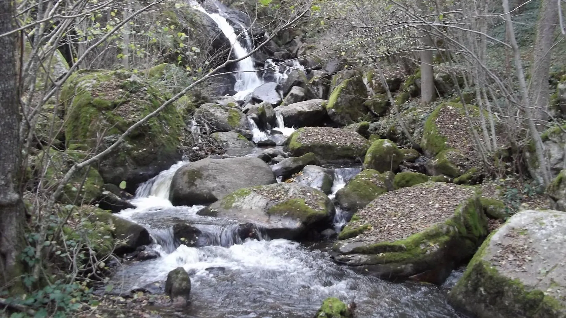Entre Vulcania Et Le Sancy Gelles France